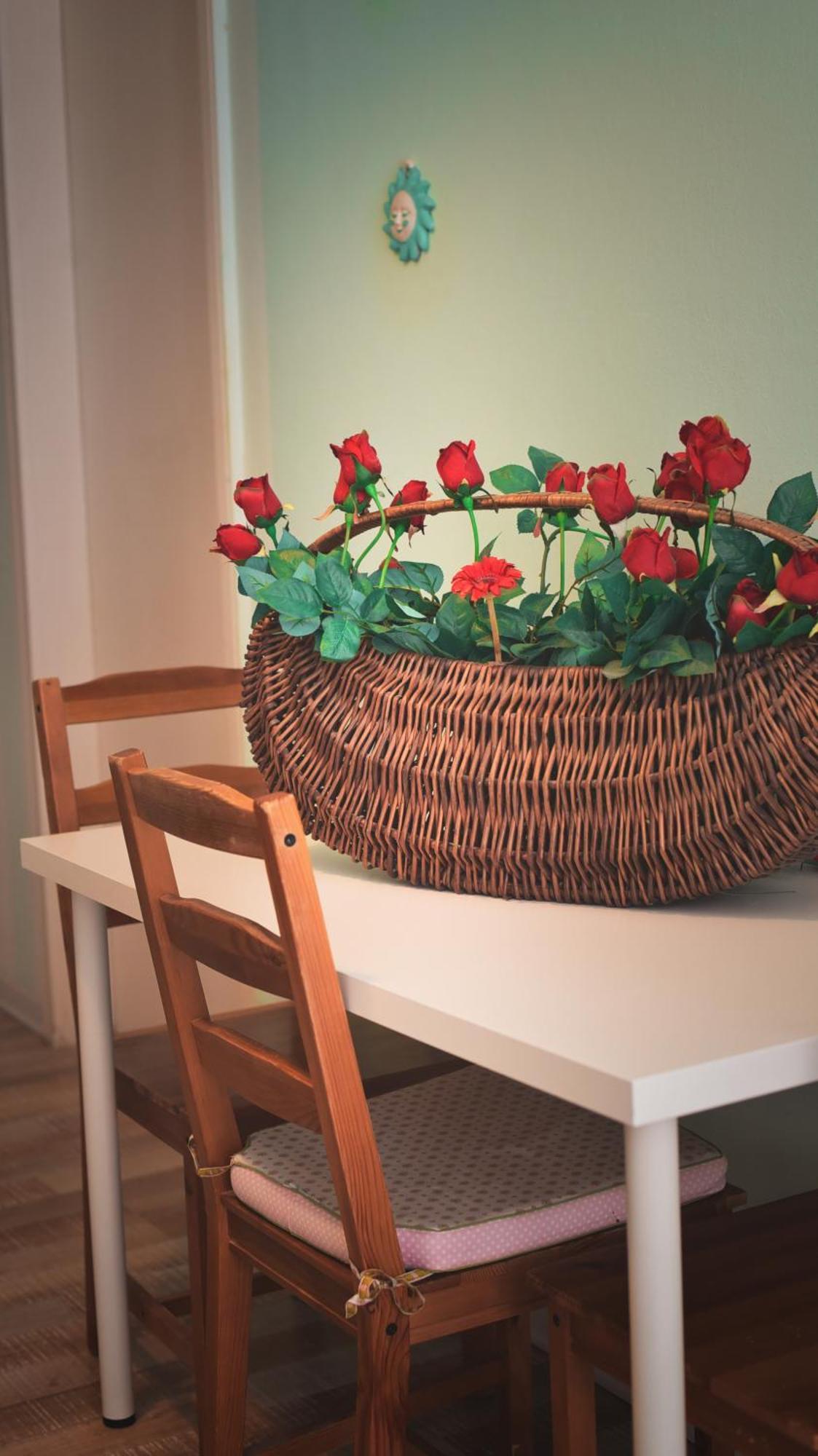 Barcolana Apartment